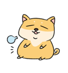 Chai P 's daily life (shiba inu)（個別スタンプ：31）
