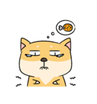 Chai P 's daily life (shiba inu)（個別スタンプ：32）