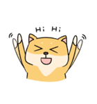 Chai P 's daily life (shiba inu)（個別スタンプ：34）