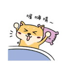 Chai P 's daily life (shiba inu)（個別スタンプ：36）