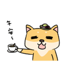 Chai P 's daily life (shiba inu)（個別スタンプ：37）