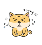 Chai P 's daily life (shiba inu)（個別スタンプ：39）
