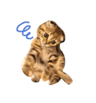 ctyri2（個別スタンプ：1）