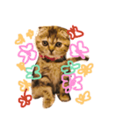 ctyri2（個別スタンプ：3）