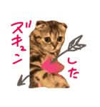 ctyri2（個別スタンプ：9）