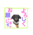 ダンス部のゆかいな仲間たち♡（個別スタンプ：1）