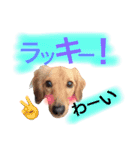 ダンス部のゆかいな仲間たち♡（個別スタンプ：2）