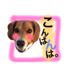 ダンス部のゆかいな仲間たち♡（個別スタンプ：12）