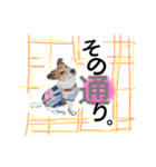 ダンス部のゆかいな仲間たち♡（個別スタンプ：13）