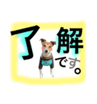 ダンス部のゆかいな仲間たち♡（個別スタンプ：17）