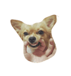 Moji funny dog（個別スタンプ：5）
