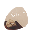 Ku the hedgehog（個別スタンプ：2）