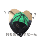 わんにゃんライフその2（個別スタンプ：5）