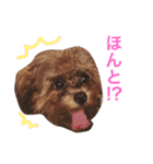☀︎だんさん☀︎（個別スタンプ：24）