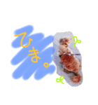 SAKICHANはうすのここちゃんすたんぷ☆（個別スタンプ：6）