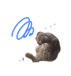 SAKICHANはうすのここちゃんすたんぷ☆（個別スタンプ：9）