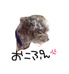 SAKICHANはうすのここちゃんすたんぷ☆（個別スタンプ：13）