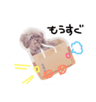 SAKICHANはうすのここちゃんすたんぷ☆（個別スタンプ：14）
