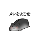高圧的なハムスタースタンプ（個別スタンプ：2）