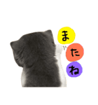 ガブ（個別スタンプ：13）