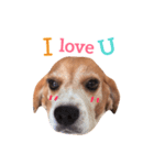 carrot beagle（個別スタンプ：3）