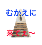 黒柴ケンシロウ（個別スタンプ：22）