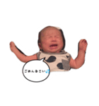 ひなたくんの一喜一憂（個別スタンプ：6）