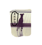 ミニピンのくたんぷ（個別スタンプ：11）