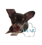 れお君の日常のあいさつ（個別スタンプ：1）