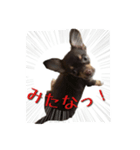 れお君の日常のあいさつ（個別スタンプ：7）