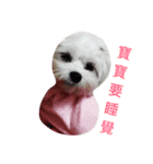 a little bobble（個別スタンプ：2）