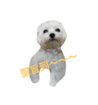 a little bobble（個別スタンプ：3）