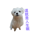 a little bobble（個別スタンプ：8）