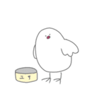 白文鳥のパルちゃん（個別スタンプ：3）