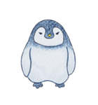 かわいいペンギンPenko（個別スタンプ：1）