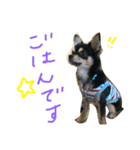 ぺぽロック2（個別スタンプ：2）