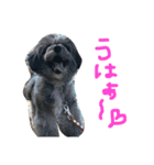 ぺぽロック2（個別スタンプ：3）