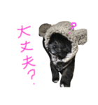 ぺぽロック2（個別スタンプ：6）