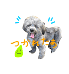 ぺぽロック2（個別スタンプ：12）