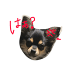 ぺぽロック2（個別スタンプ：14）