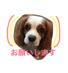 ポポとララ 2（個別スタンプ：4）
