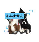 ポポとララ 2（個別スタンプ：8）