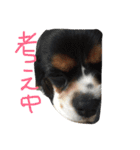 ポポとララ 2（個別スタンプ：9）