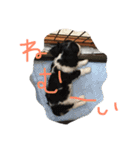 ポポとララ 2（個別スタンプ：11）