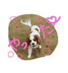 ポポとララ 2（個別スタンプ：12）