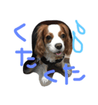 ポポとララ 2（個別スタンプ：16）