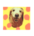 しげおとトロ（個別スタンプ：3）