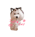 しげおとトロ（個別スタンプ：5）