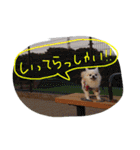 ちくパイセンと仲間たち（個別スタンプ：5）