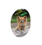 ちくパイセンと仲間たち（個別スタンプ：9）
